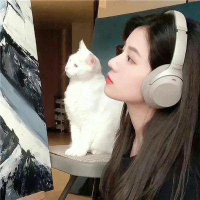 每况愈下